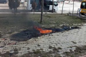 Şehrin ortasından petrol fışkırdı