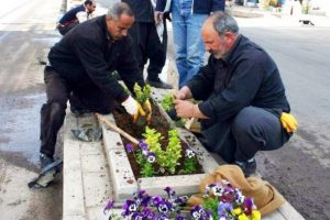 ''BİT''lerde istihdam arttı
