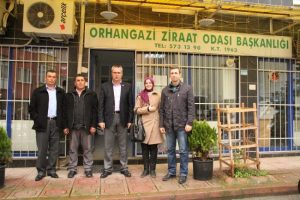 Zeytinde akademik çalışma