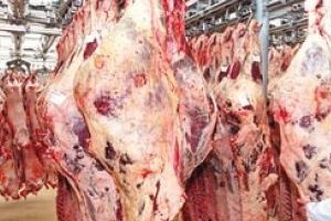 Et Balık, 'depolarında et tutuyor' tartışması