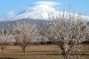 İki mevsim bir arada