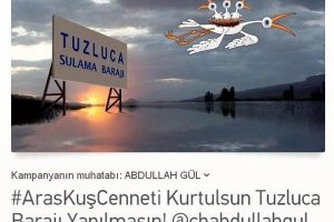 Aras Nehri'ndeki kuşlara ABD'den el uzattı