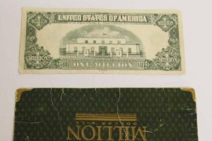 Muğla'da 1 milyon dolarlık banknot ele geçirildi