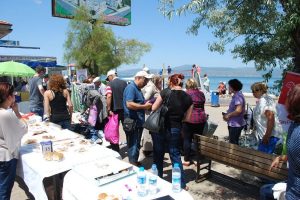 Mudanya'da evsiz hayvanlar için kermes