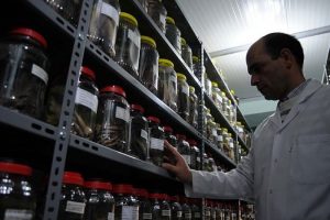 Su ürünleri bölümünü seçen her öğrenciye burs