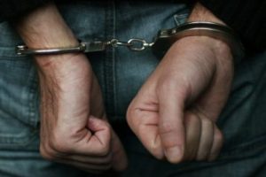 Kastamonu'da bonzai operasyonu: 8 tutuklama