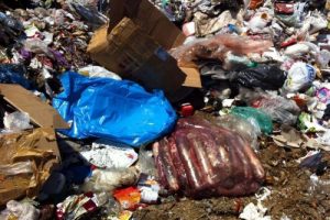 Kargoda 100 kilo kaçak et ele geçirildi