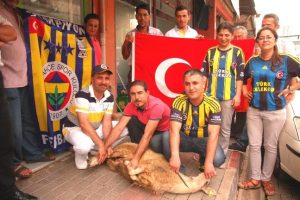 Aykut Kocaman'ın istifa haberi üzerine kurban kestiler