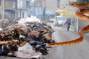 Bursa haberler Haberleri, Güncel Bursa haberler haberleri ve Bursa haberler gelişmeleri 69
