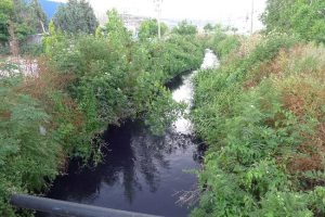 Yeşil Bursa'da çevre katliamı