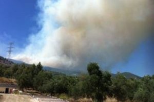 Hatay'daki yangın kısmen kontrol altına alındı