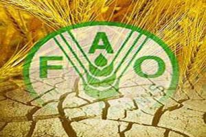 Türkiye FAO Konseyi üyeliğine seçildi