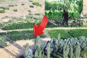 PKK, çekilmeyi bu yüzden mi geciktiriyor?