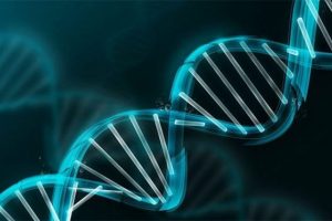 Tecavüzcülerin DNA'sını yüz yıl saklayacaklar.