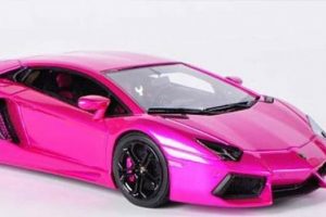 Polis Lamborghini'yi parçalayacak