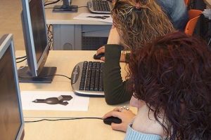 Hangi kurumdaki sözleşmeliler kadroya geçti?