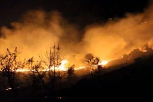 Balıkesir'de korkutan yangın