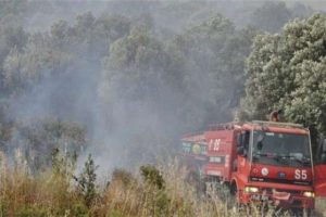 Heybeliada'da yangın