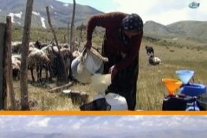 Çözüm süreci yaylalara çıkışı arttırdı