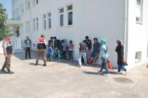 Kaçak göçmenler ormanda yakalandı