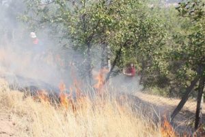 Adıyaman Üniversitesi Kampusü'nde anız yangını