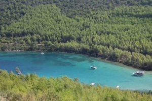 Türkiye'nin sit haritası internette