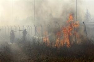 Orman yangınında 3 gözaltı