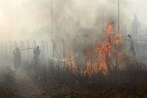 Ev yapımı bomba dehşeti
