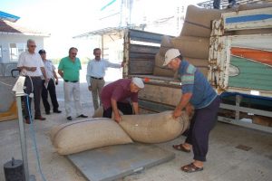 Gençlere taş çıkartıyor