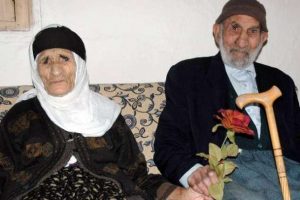 Asırlık çınar devrildi