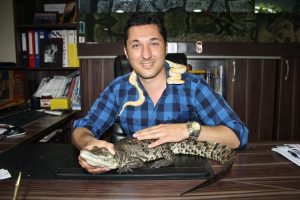 Bursalı işadamı ofisini Serengeti Milli Parkı'na çevirdi