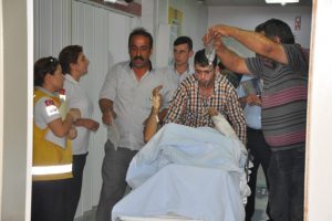 Üzüm toplarken...