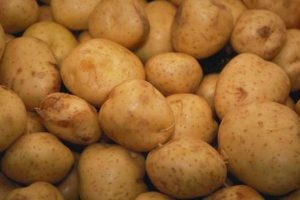 Patates fiyatları neden arttı?