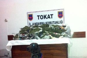 Taksi müşterisinin valizinden 38 kilo esrar çıktı