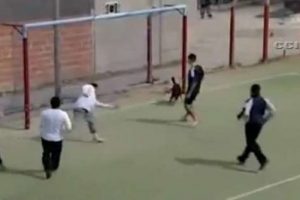 Köpekten müthiş kafa golü