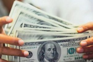 Döviz satım ihalesinde teklif 402 milyon dolar