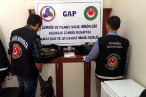 Sınır kapısındaki çuvaldan bakın ne çıktı?