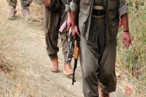 13 PKK'lı teslim oldu