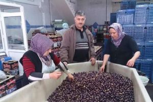 ''Eşek zeytini'' zam şampiyonu