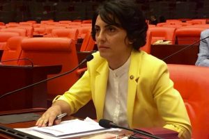 CHP Bursa Milletvekili Kayışoğlu Yeniköy'deki su sorununu meclise taşıdı