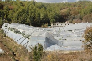 Gürültüye uyandılar: Gördükleri manzara şoke etti