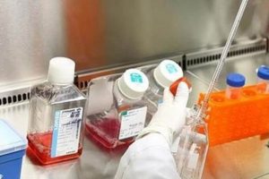 Avrupa şokta virüsün önüne geçilemiyor!