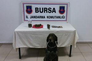 Bursa'da zehir tacirine ''Roket''li darbe