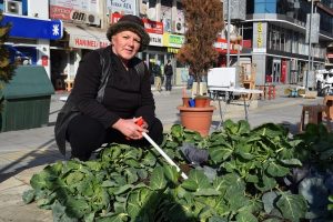 Bursa'da caddede organik tarım