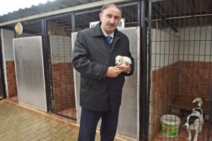 Bursa'da sokak hayvanlarına sıcak yuva