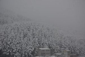 Bursa Uludağ'da kar ve tipi etkili oluyor