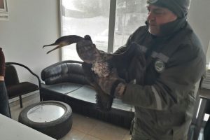 Bursa'da avcılar vurdu, itfaiye kurtardı