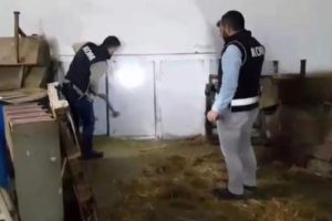 Gizli duvarın arkasından çıktı! Polis şok oldu
