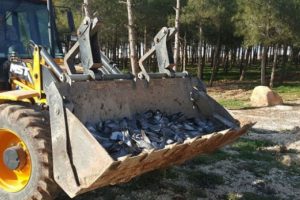 Şanlıurfa'da kuş ölümleri halkı tedirgin ediyor
