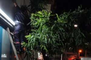 Yavru kedi sıkıştığı yerden 5 saat sonra kurtarıldı